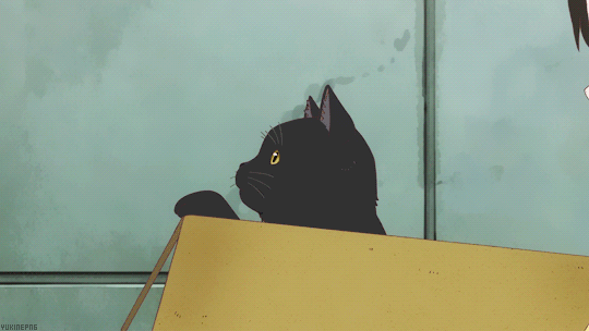 Анимация Кот в коробке, аниме Kanojo to Kanojo no Neko / Она и ее кот, гифка Кот в коробке, аниме Kanojo to Kanojo no Neko / Она и ее кот