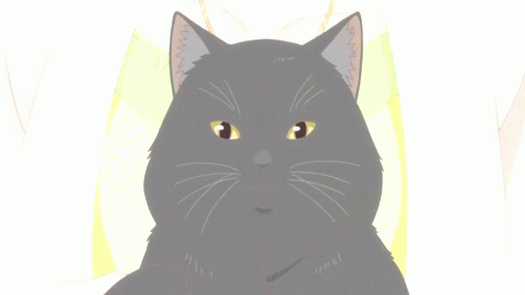 Анимация Кот из аниме Kanojo to Kanojo no Neko / Она и ее кот, гифка Кот из аниме Kanojo to Kanojo no Neko / Она и ее кот
