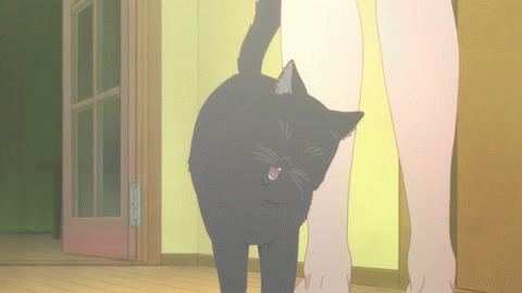 Анимация Кот Дару / Daru трется о ножки хозяйки, аниме Kanojo to Kanojo no Neko / Она и ее кот, гифка Кот Дару / Daru трется о ножки хозяйки, аниме Kanojo to Kanojo no Neko / Она и ее кот