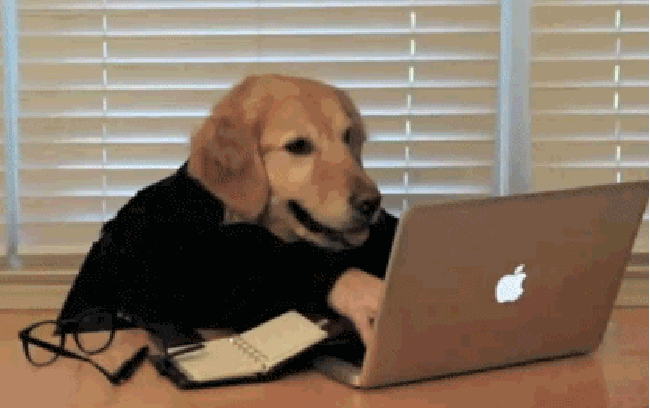 Анимация Собака сидит за столом перед ноутбуком и, быстро печатает на клавиатуре, рядом лежат очки, записная книжка, гифка Собака сидит за столом перед ноутбуком и, быстро печатает на клавиатуре, рядом лежат очки, записная книжка