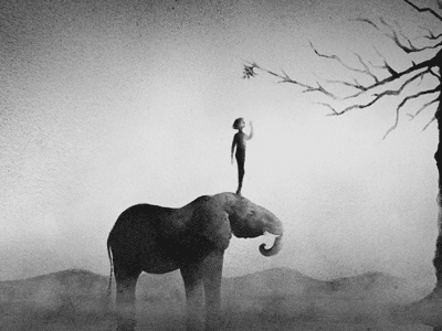 Анимация Мальчик стоит на голове слона, который помогает ему достать до верхней ветки дерева, гифка Мальчик стоит на голове слона, который помогает ему достать до верхней ветки дерева