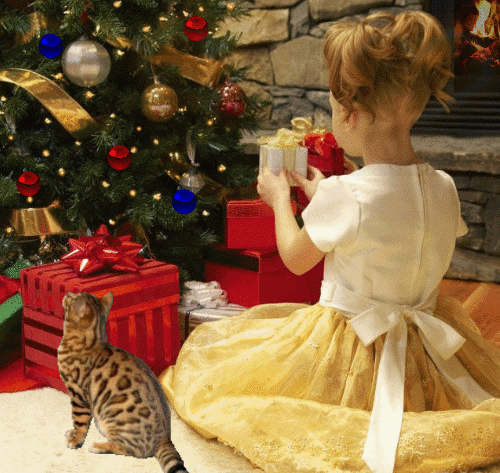 Анимация Девочка с подарком в руках сидит рядом с кошкой перед новогодней елкой, гифка Девочка с подарком в руках сидит рядом с кошкой перед новогодней елкой