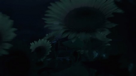 Анимация За полем подсолнухов стоит дом под ночным небом, мультик Машкины Страшилки