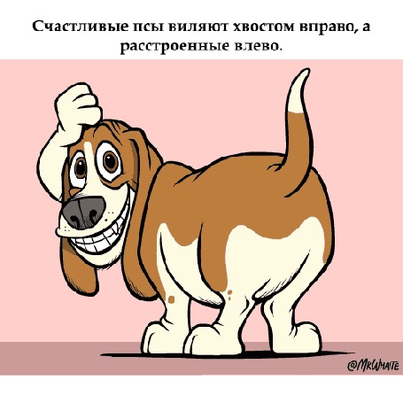 Анимация Счастливые псы виляют хвостом вправо, а расстроенные влево