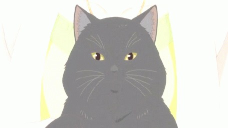 Анимация Кот из аниме Kanojo to Kanojo no Neko / Она и ее кот