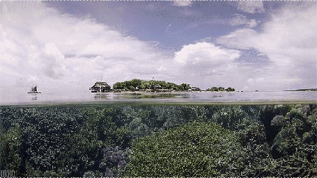 Анимация Гладь на море, на фоне острова, неба и домов