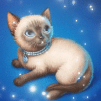 Анимация Котик смотрит на блестки, гифка Котик смотрит на блестки