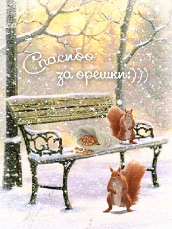 Анимация Белки на лавочке в парке с кульком орехов (Спасибо за орешки:)))