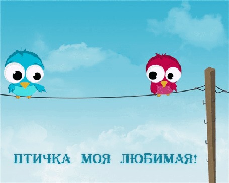 Здравствуй, я люблю тебя картинки прикольные гифки