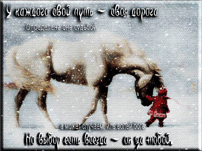 Анимация Маленькая девочка в метель ведет под узды белую лошадь (У каждого свой путь-своя дорога. Определена она судьбой, а может случаем, иль волей бога. Но выбор есть всегда - он за тобой), от Ангела, гифка Маленькая девочка в метель ведет под узды белую лошадь (У каждого свой путь-своя дорога. Определена она судьбой, а может случаем, иль волей бога. Но выбор есть всегда - он за тобой), от Ангела