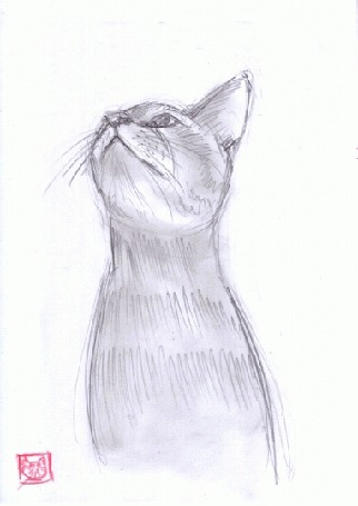 Анимация Рисованный кот шевелит ушами