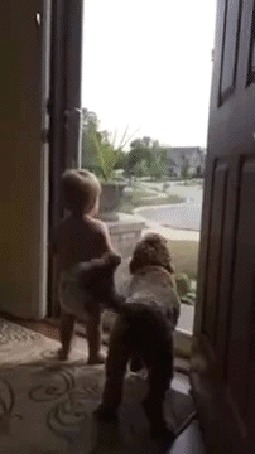 Анимация Веселые и смешные малыш с собакой