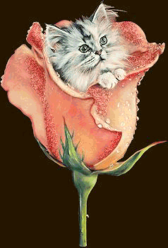 Анимация Пушистый котенок выглядывает из бутона розы, гифка Пушистый котенок выглядывает из бутона розы