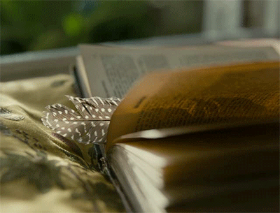 Гиф анимация Открытая книга с пером, страницы которой колышутся от  дуновения ветра