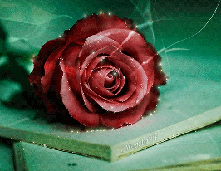 Dragon age 2 цветущая роза кружка на столе