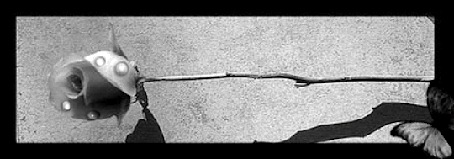 Анимация Бабочка подлетает, садится на розу и улетает