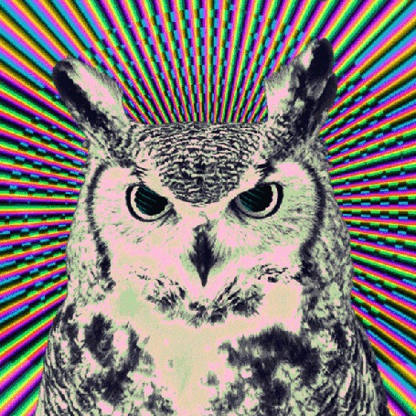 Анимация Черно-белая сова на фоне вращающихся по часовой стрелке цветных полос