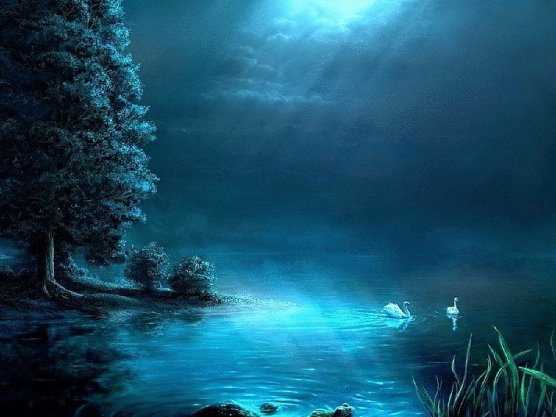 Анимация Белые лебеди на воде, гифка Белые лебеди на воде