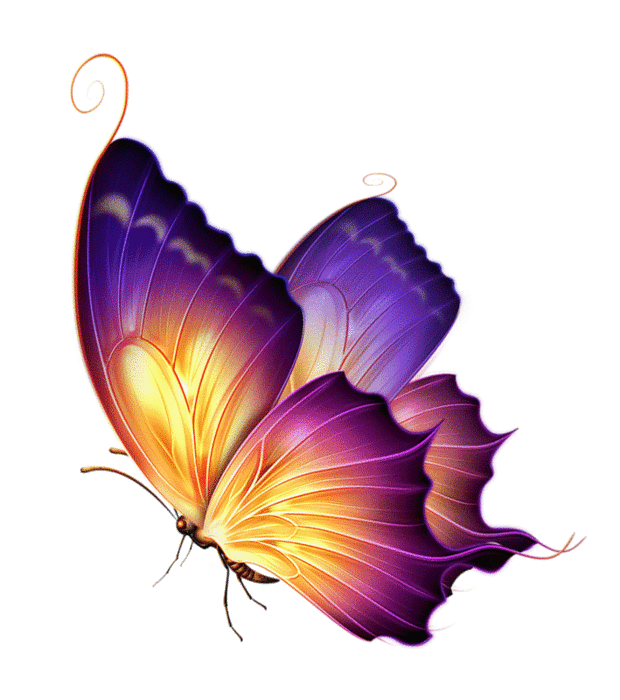 Анимация Бабочка переливающаяся разными цветами, гифка Бабочка переливающаяся разными цветами