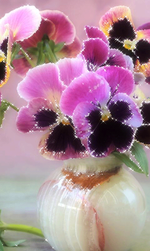 Анимация Букет розовых, сверкающих фиалок в вазе, гифка Букет розовых, сверкающих фиалок в вазе