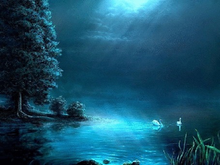 Анимация Белые лебеди на воде