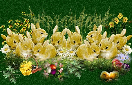 Анимация Кролики на полянке