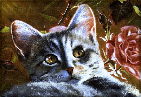 Анимация Моргающий серый котенок