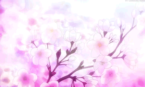 Анимация Слетающие лепестки с весеннего дерева сакуры, гифка Слетающие лепестки с весеннего дерева сакуры