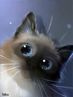 Анимация Сиамский котик со сверкающими и моргающими глазами шевелит ушами, автор biku, гифка Сиамский котик со сверкающими и моргающими глазами шевелит ушами, автор biku