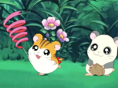 Анимация Хомячок Хомячок Таро / Taro наблюдает за тем, как танцует с лентой его подруга, гифка Хомячок Хомячок Таро / Taro наблюдает за тем, как танцует с лентой его подруга