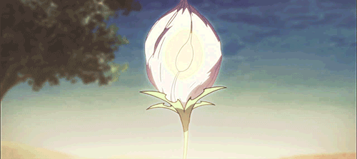 Анимация Распускающийся белый цветок, Мастер Меча / Master of the Sword, гифка Распускающийся белый цветок, Мастер Меча / Master of the Sword