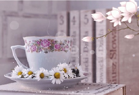 Анимация Чашка с ромашками на блюдце стоит на книге