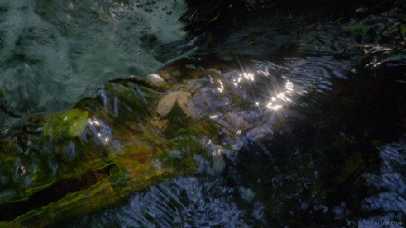 Анимация Солнечные блики на прозрачной воде