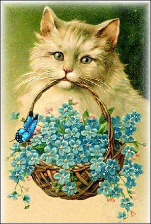 Анимация Кот с корзиной незабудок и бабочкой на них