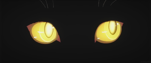 Анимация Желтые глаза кошки из аниме Истории монстров / Bakemonogatari, гифка Желтые глаза кошки из аниме Истории монстров / Bakemonogatari