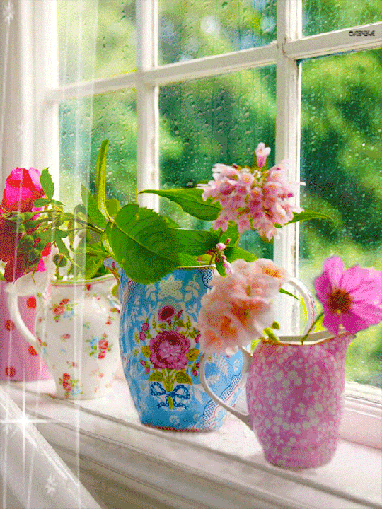 Анимация Цветы в вазе и чашках стоят на подоконнике, гифка Цветы в вазе и чашках стоят на подоконнике