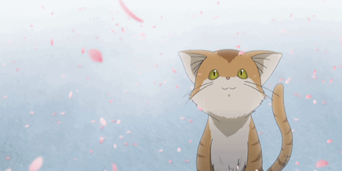 Анимация Котенок под падающими лепестками. Аниме: Clannad, гифка Котенок под падающими лепестками. Аниме: Clannad