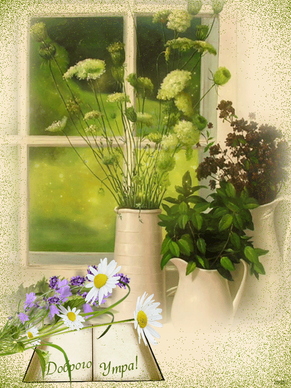 Цветы на окне. Пожелания с добрым летним утром. Летнее утро. Окно в цветах. Доброе весеннее утро анимашки