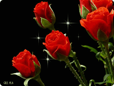 Анимация Красные розы в небольшом сиянии, гифка Красные розы в небольшом сиянии