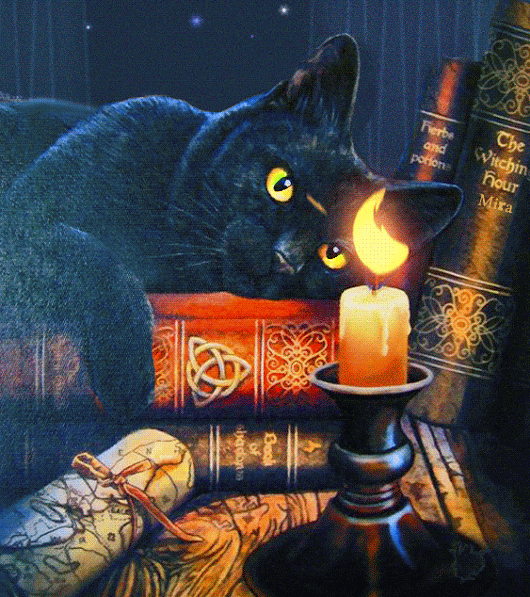 Анимация Кот лежит на книгах и лапой тушит свечу, гифка Кот лежит на книгах и лапой тушит свечу