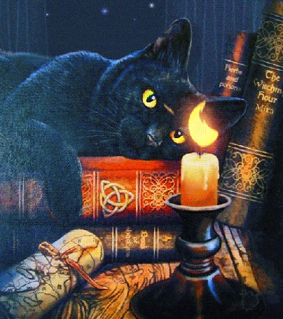 Анимация Кот лежит на книгах и лапой тушит свечу