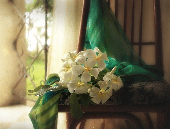 Анимация Букет белых цветов лежит на стуле, гифка Букет белых цветов лежит на стуле