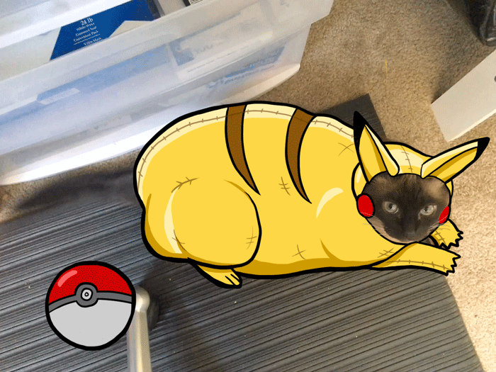 Анимация Кошка, косящая под Pikachu / Пикачу из аниме Pokemon / Покемон, гифка Кошка, косящая под Pikachu / Пикачу из аниме Pokemon / Покемон