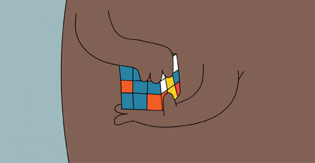 Анимация Медведь собирает кубик Рубика, гифка Медведь собирает кубик Рубика