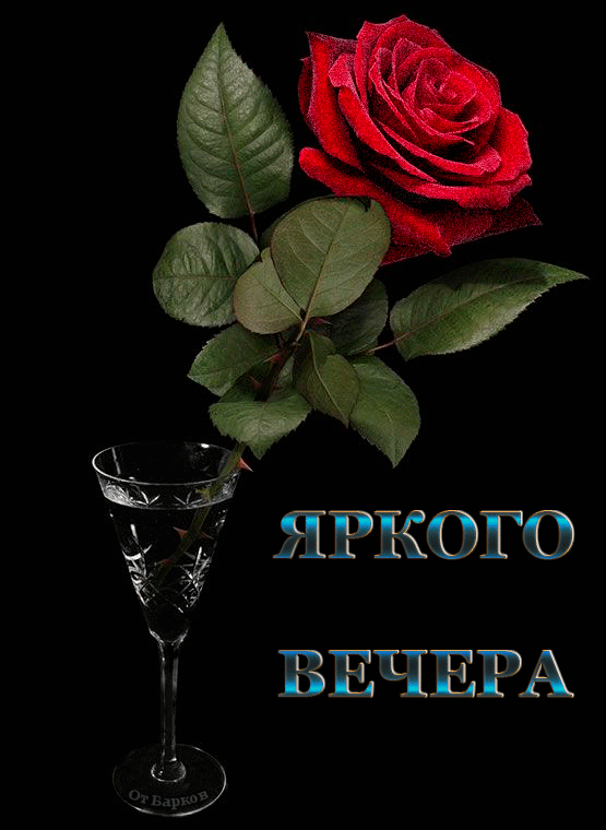 Анимация Роза в фужере (Яркого Вечера), гифка Роза в фужере (Яркого Вечера)