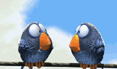 Анимация Эпизод из видеоигры Angry Birds Rio