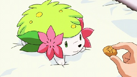 Анимация Покемона Шеймин / Shaymin из аниме Покемон / Pokemon кормят печеньем