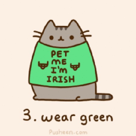 Анимация Кот Пушин в майке с надписью Pet Me Im Irish / Погладь меня, я ирландец (3. wear green)