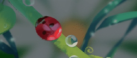 Анимация Божья коровка на стебельке с каплями воды