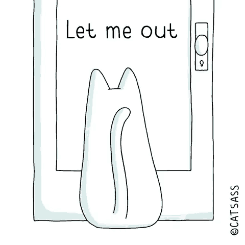 Анимация Kот сидит перед дверью, на которой надпись Let Me Out - Let Me in / Выпусти меня - Пусти меня внутрь / by Catass Gato, гифка Kот сидит перед дверью, на которой надпись Let Me Out - Let Me in / Выпусти меня - Пусти меня внутрь / by Catass Gato